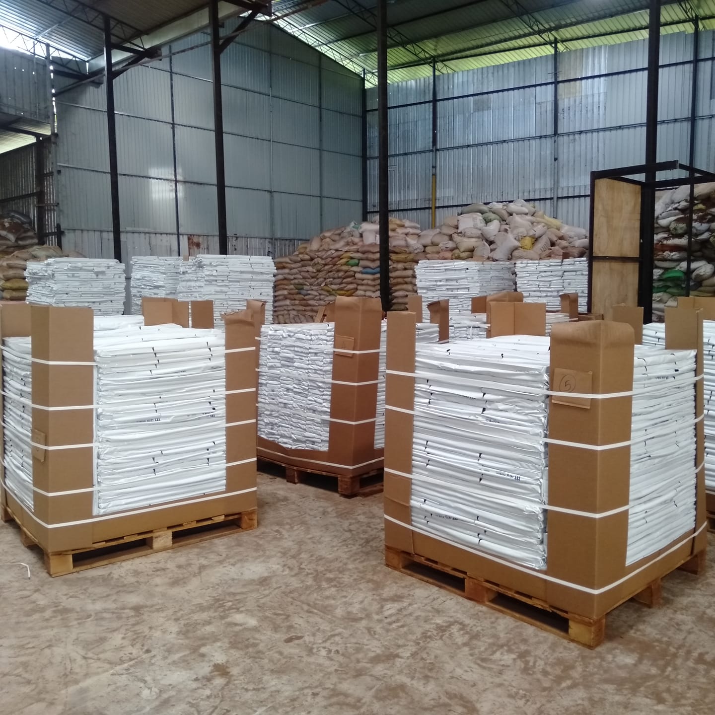 Palletized products ready for international shipping